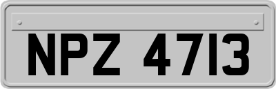 NPZ4713