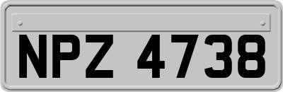 NPZ4738