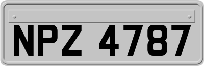 NPZ4787