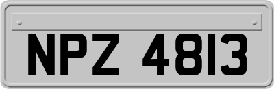 NPZ4813