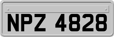 NPZ4828