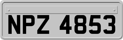 NPZ4853