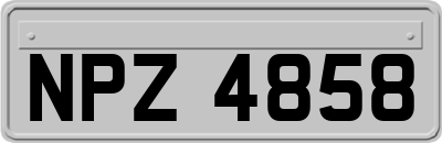 NPZ4858