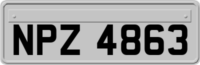 NPZ4863