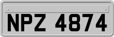 NPZ4874
