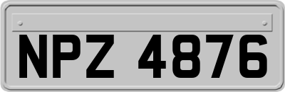 NPZ4876
