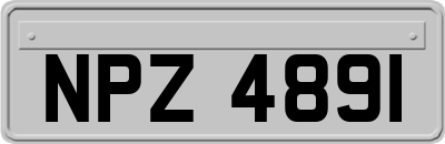 NPZ4891