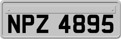 NPZ4895