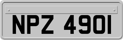 NPZ4901