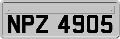 NPZ4905