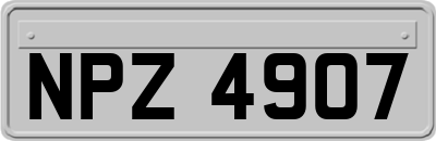 NPZ4907