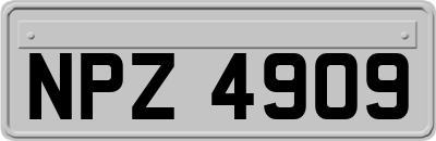 NPZ4909