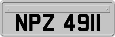 NPZ4911
