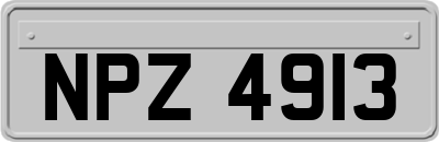 NPZ4913
