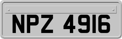 NPZ4916