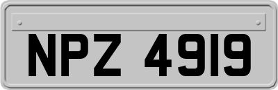 NPZ4919