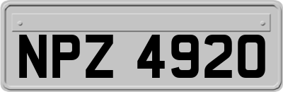 NPZ4920