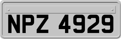 NPZ4929