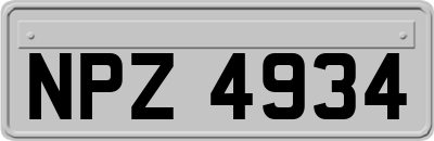 NPZ4934