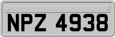NPZ4938