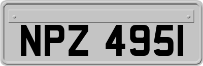 NPZ4951