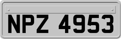 NPZ4953
