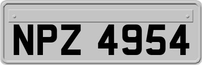 NPZ4954