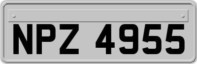 NPZ4955