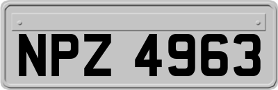 NPZ4963