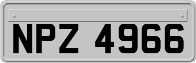 NPZ4966