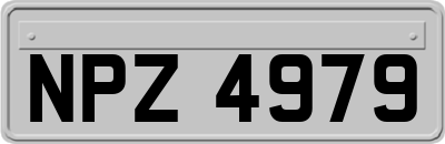 NPZ4979
