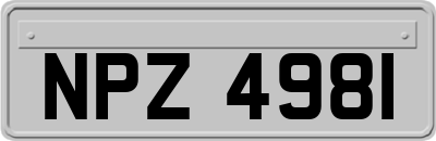 NPZ4981