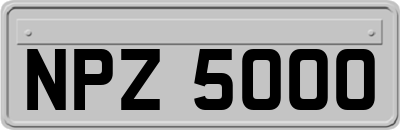 NPZ5000