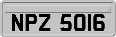 NPZ5016