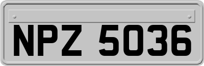 NPZ5036