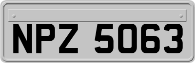 NPZ5063