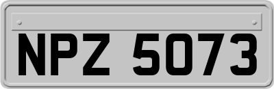 NPZ5073