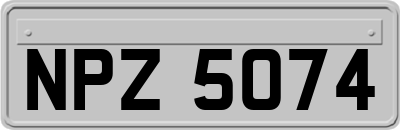 NPZ5074