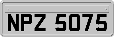 NPZ5075