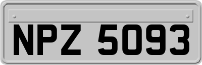 NPZ5093