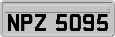 NPZ5095