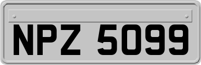 NPZ5099