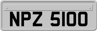 NPZ5100