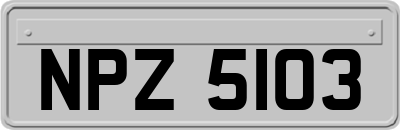 NPZ5103