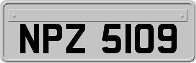 NPZ5109