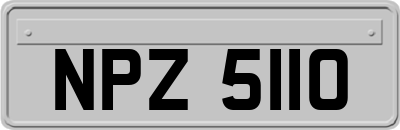 NPZ5110