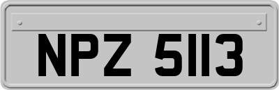 NPZ5113