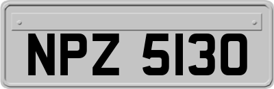 NPZ5130