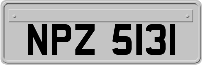 NPZ5131