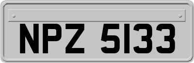 NPZ5133